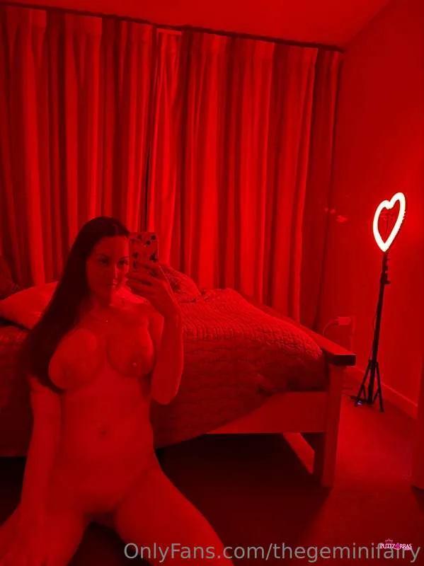 Thegeminifairy_5