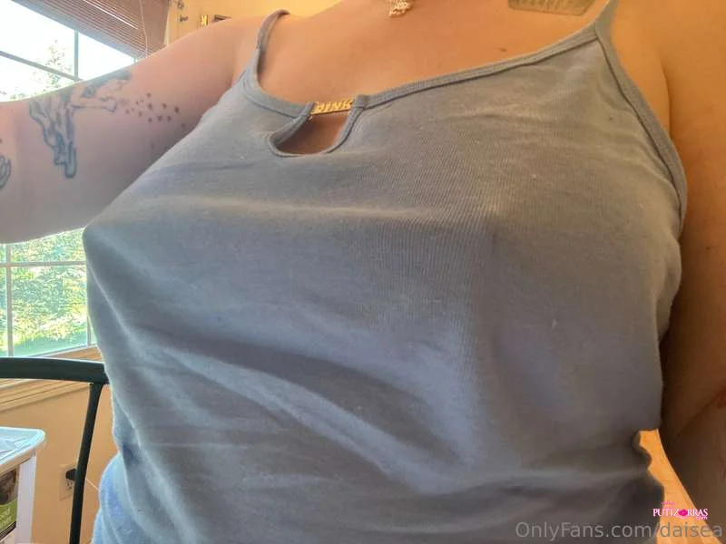 Daisea_4