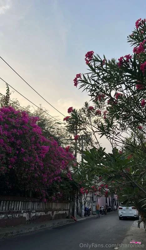 Sharonlee_31